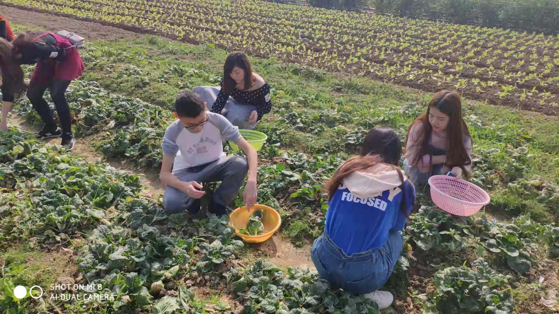 微信图片_20181128092858.jpg